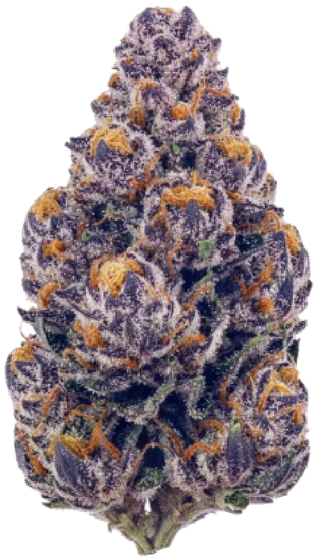 Almond Mochi Cannabis Strain