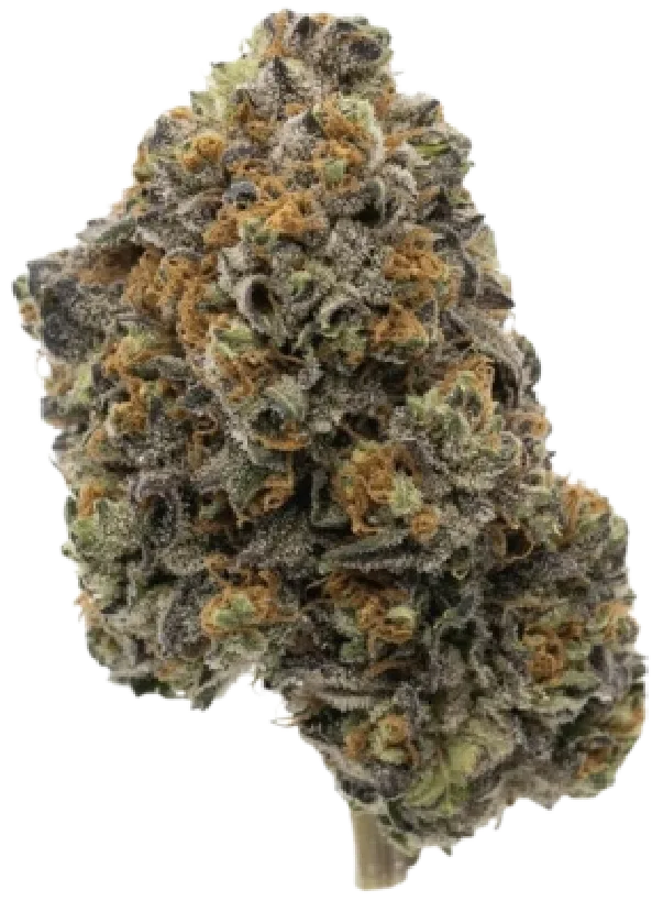 Pop Rox Cannabis Strain