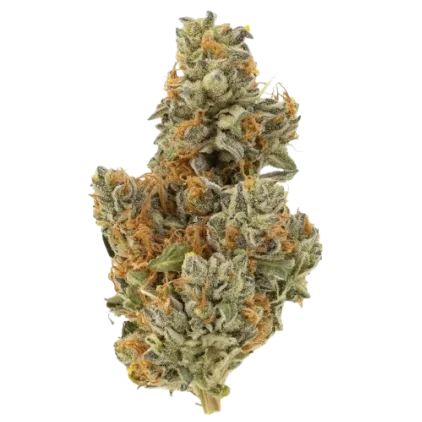 dirty sprite breath strain