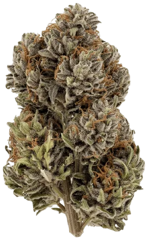 Donkey Butter Strain