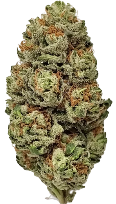 Garlic Breath Strain