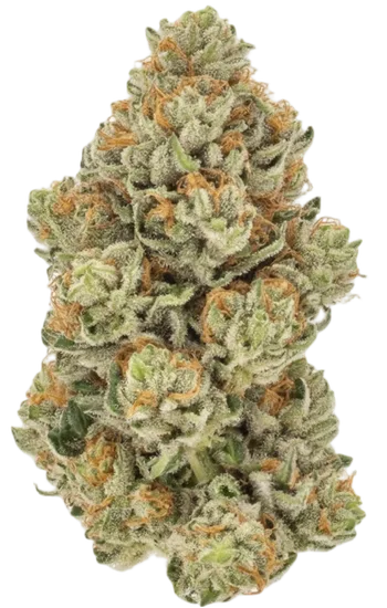 Lava Cake Strain